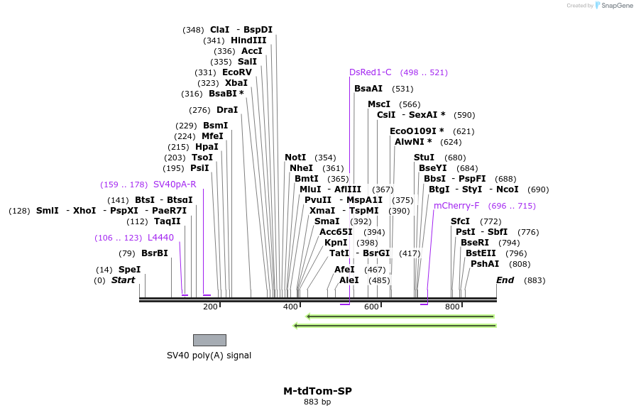 72735_map