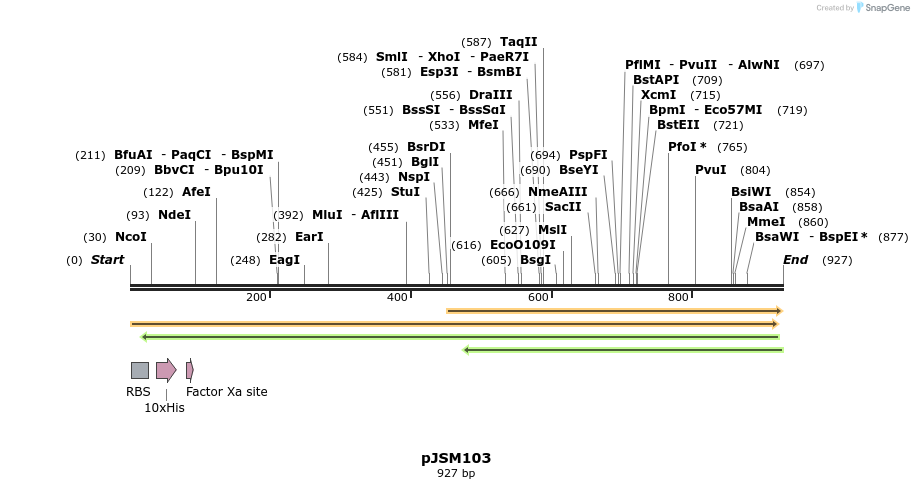 72736_map