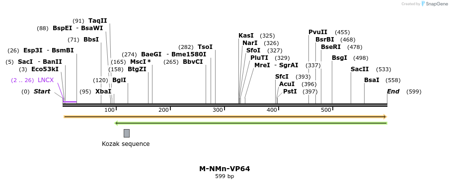 72738_map