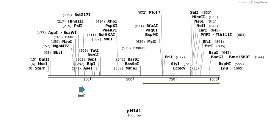 72742_map