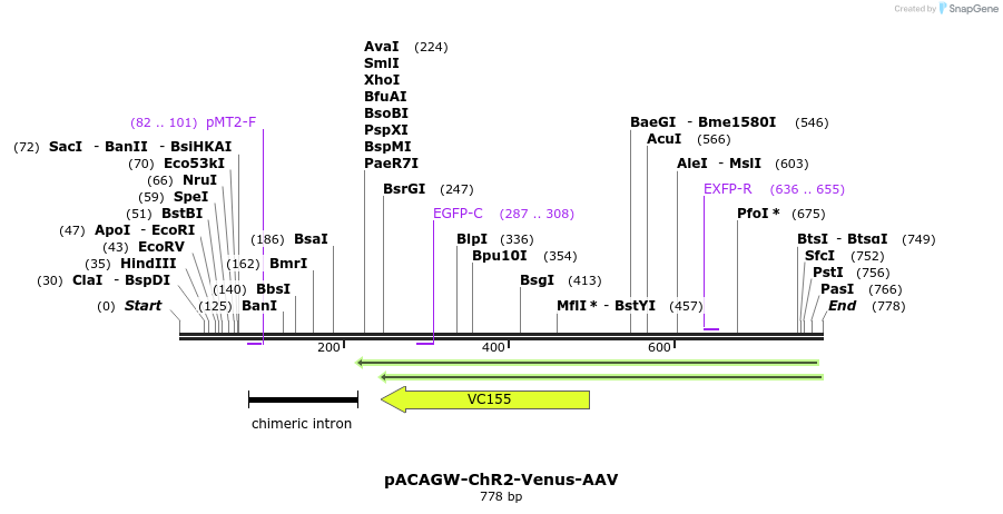 72743_map