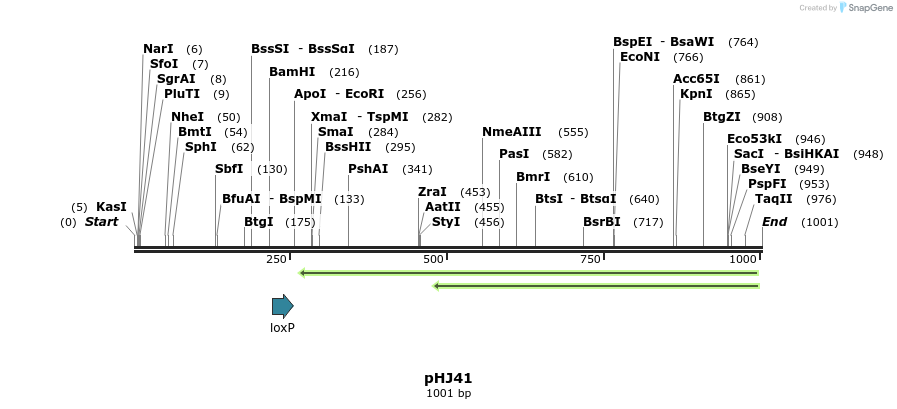 72744_map