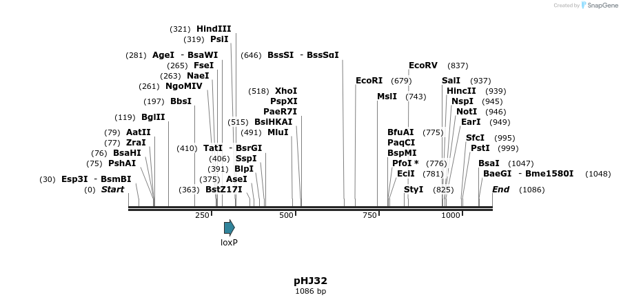 72745_map
