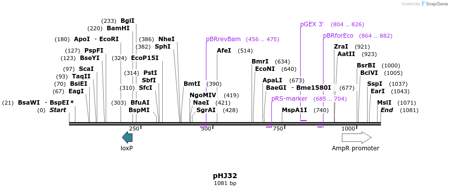 72746_map