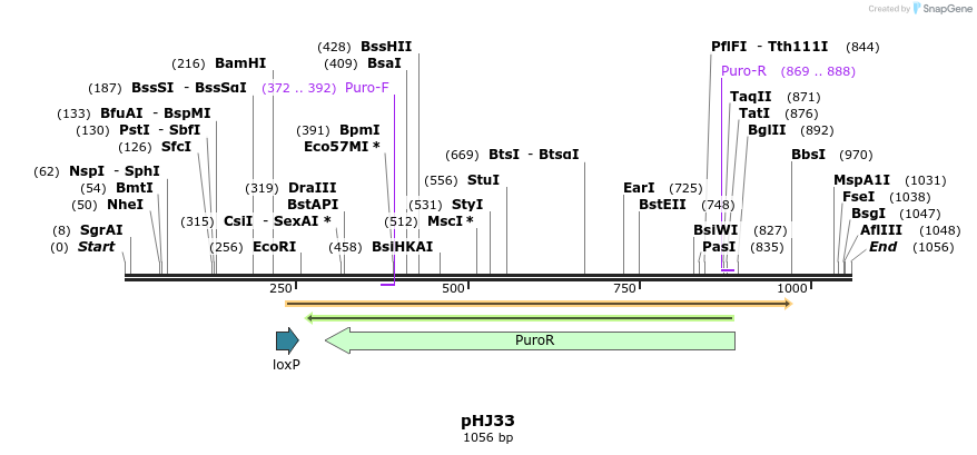72752_map