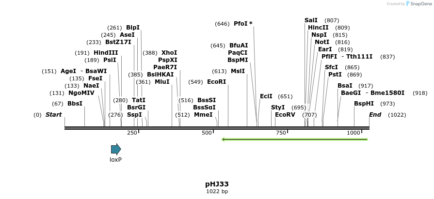 72753_map