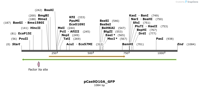 72755_map