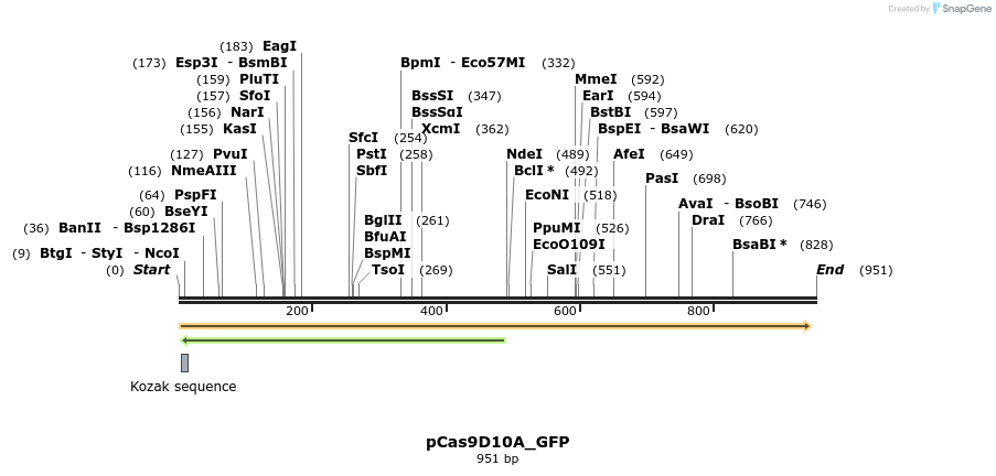 72756_map