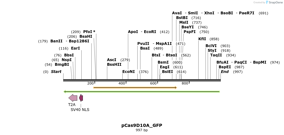 72757_map