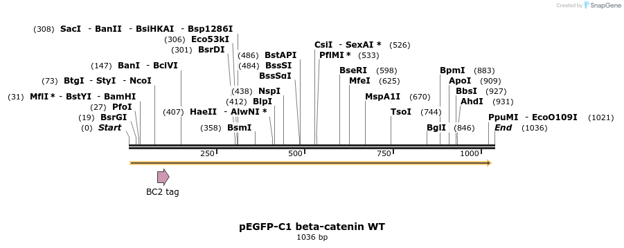 72760_map