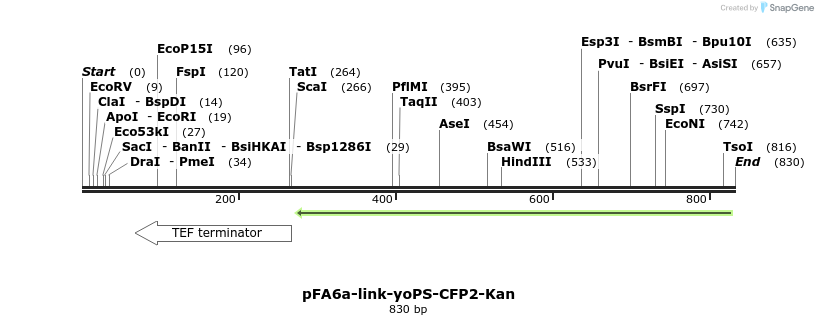 72774_map