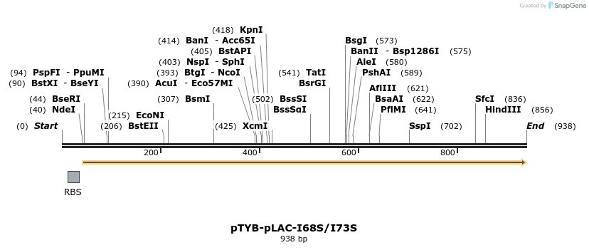 72787_map