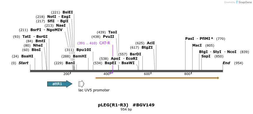 72797_map
