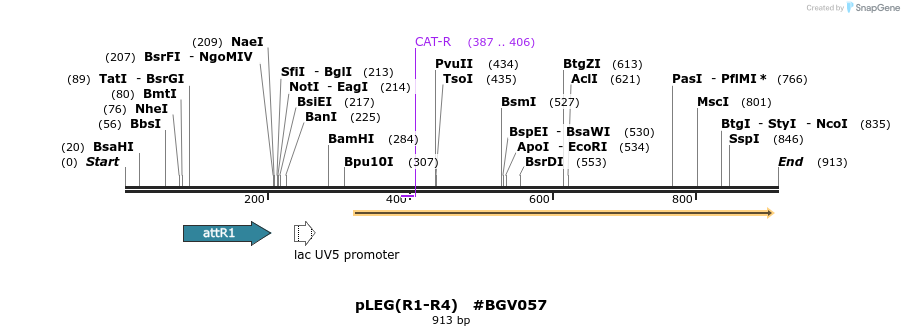 72799_map