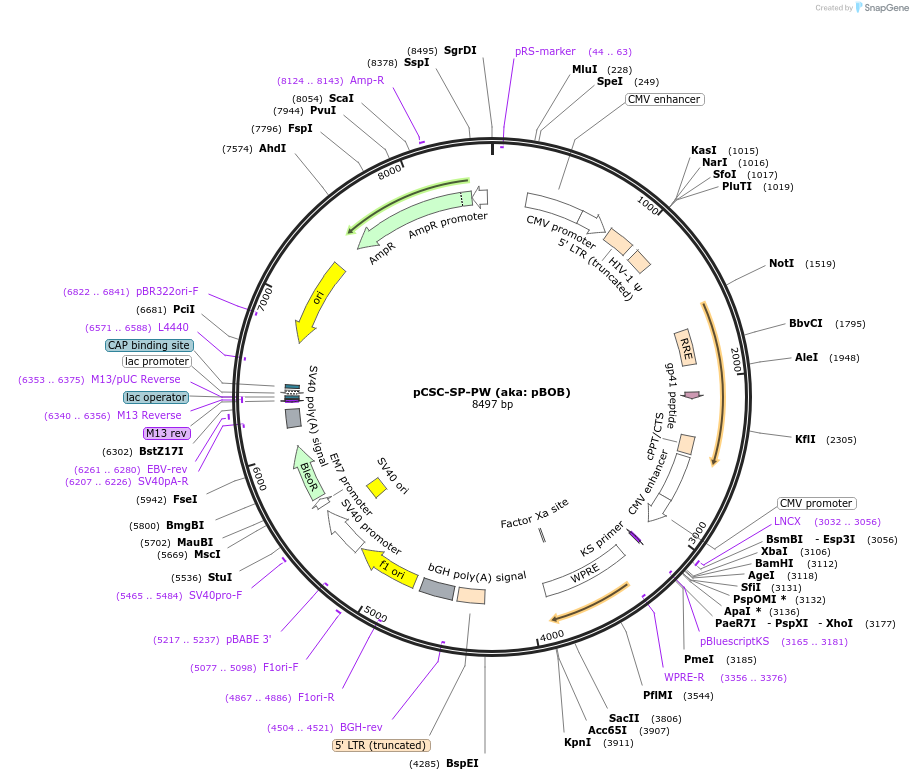 7280_map