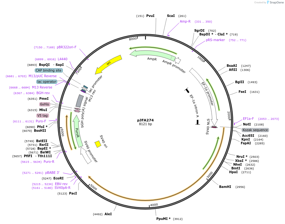 72806_map