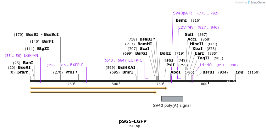 72807_map