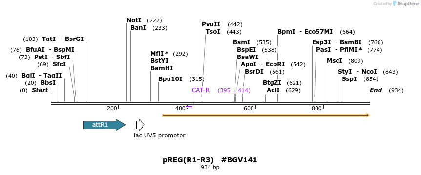 72809_map