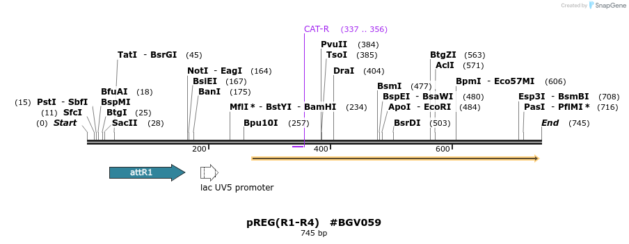 72818_map