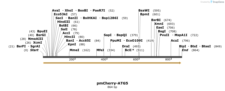 72823_map