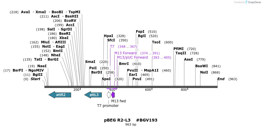 72826_map