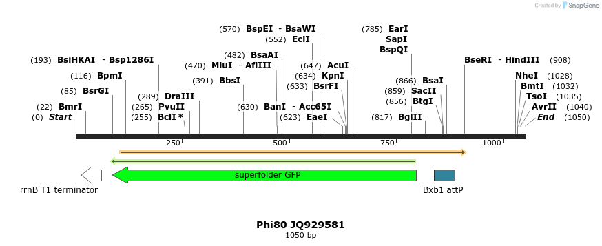 72832_map