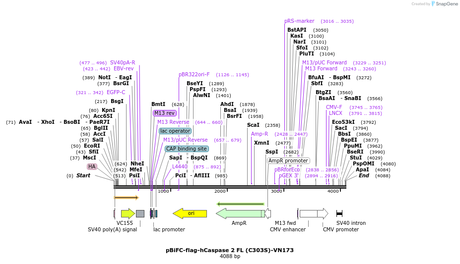 72833_map