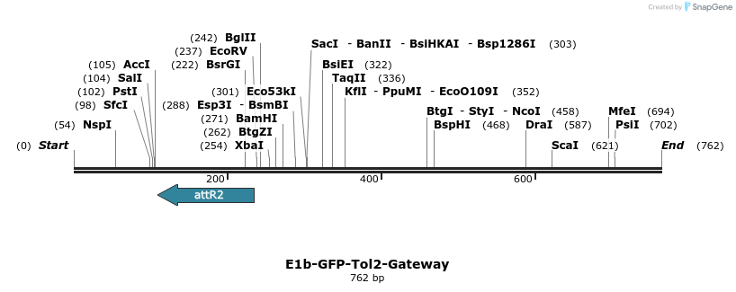 72835_map