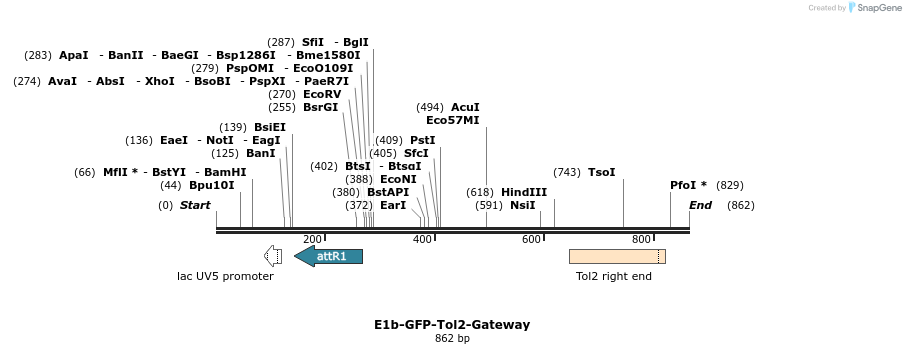 72836_map