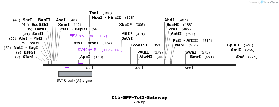 72837_map