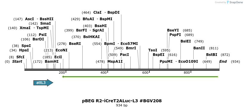 72851_map