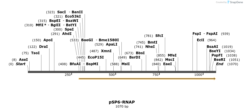 72858_map
