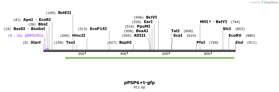 72864_map