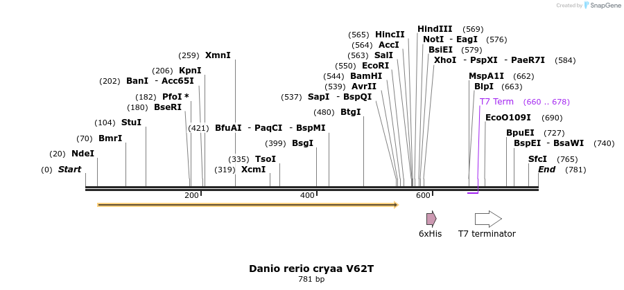 72865_map