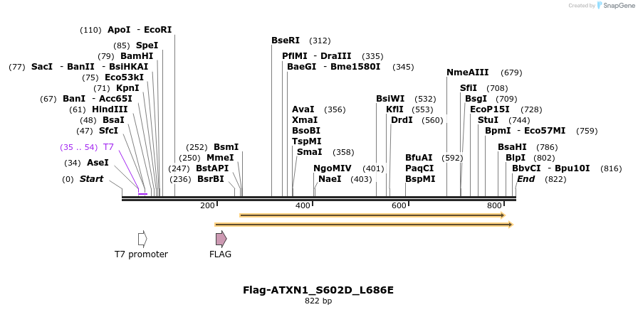 72866_map