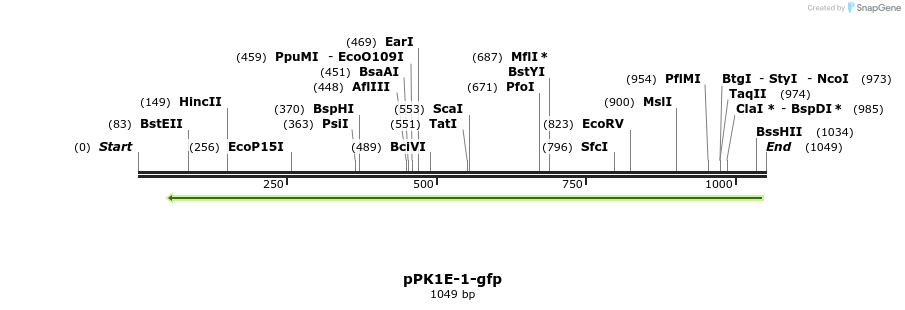 72870_map