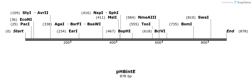 72871_map