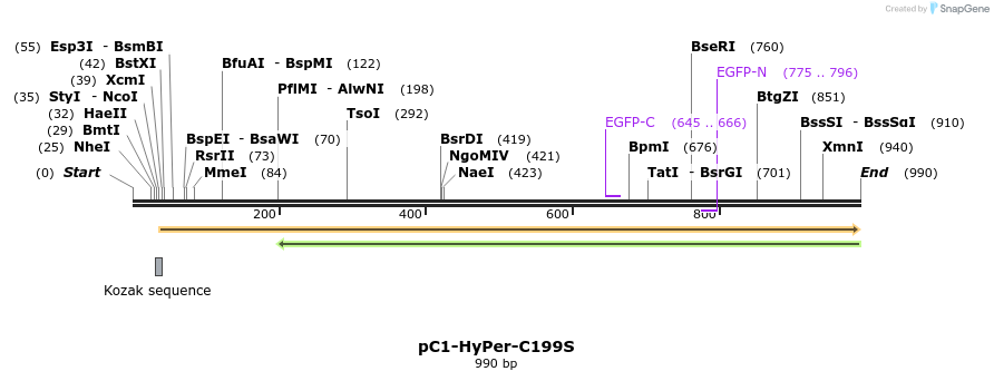 72886_map
