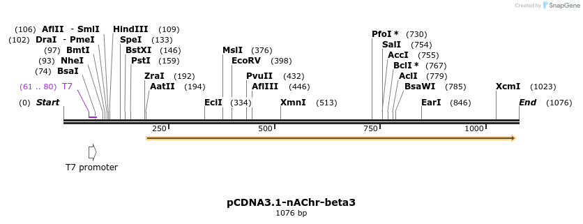 72890_map