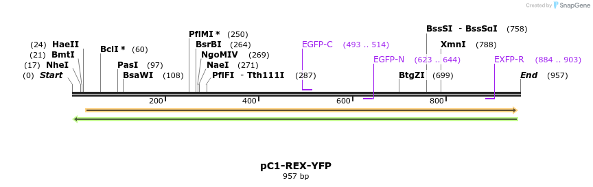 72891_map