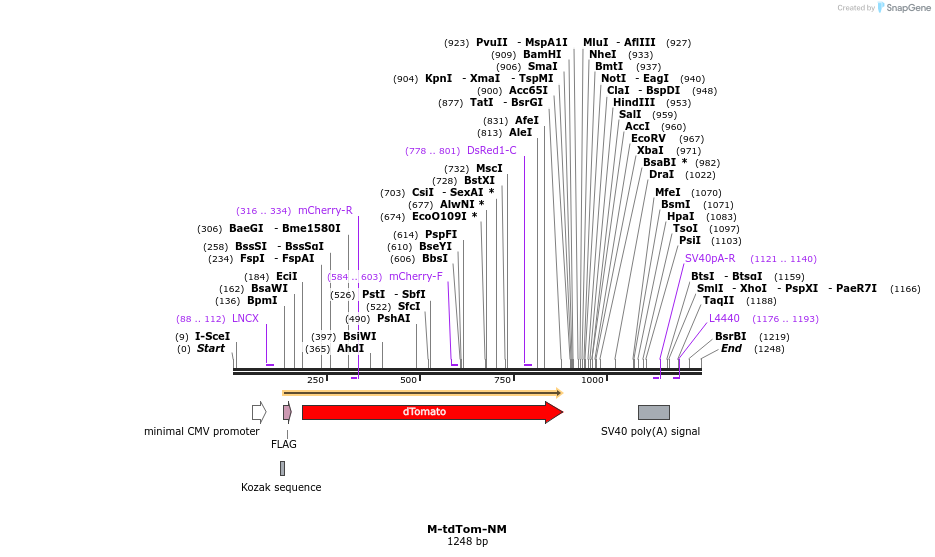 72892_map