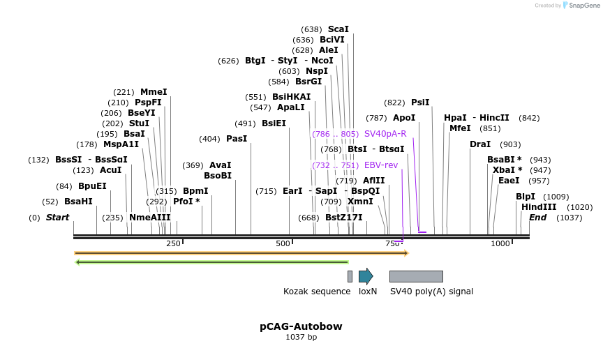 72897_map