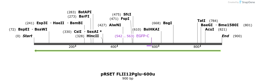 72899_map