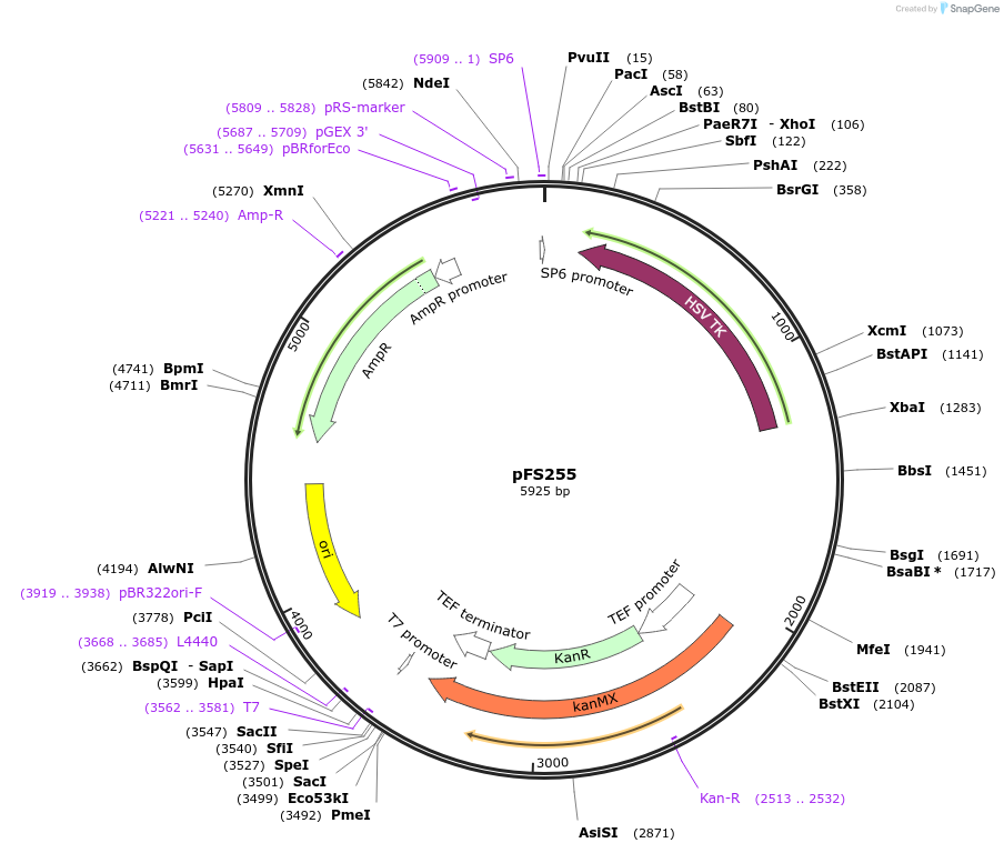 7290_map