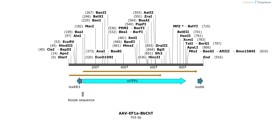 72905_map