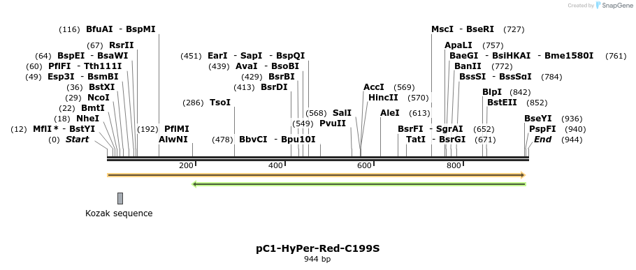 72906_map
