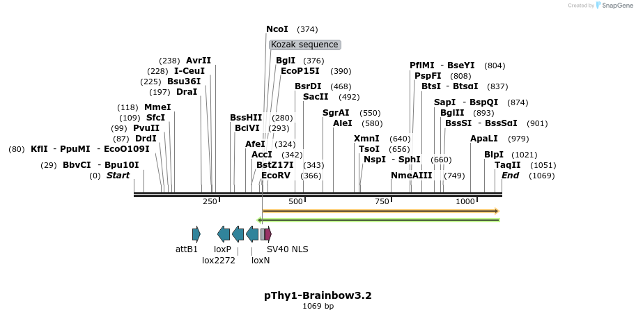 72910_map