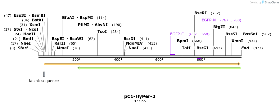 72911_map