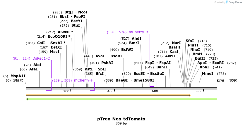 72958_map
