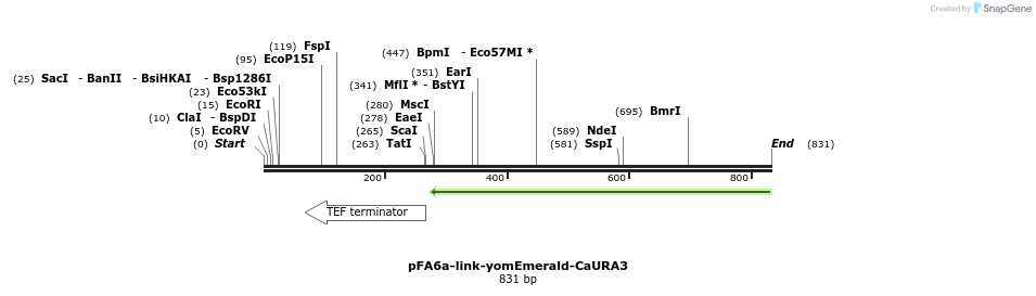 72964_map
